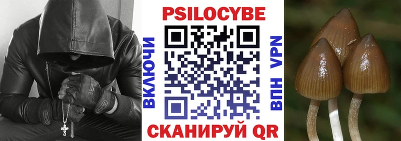 Псилоцибиновые грибы мицелий Электрогорск