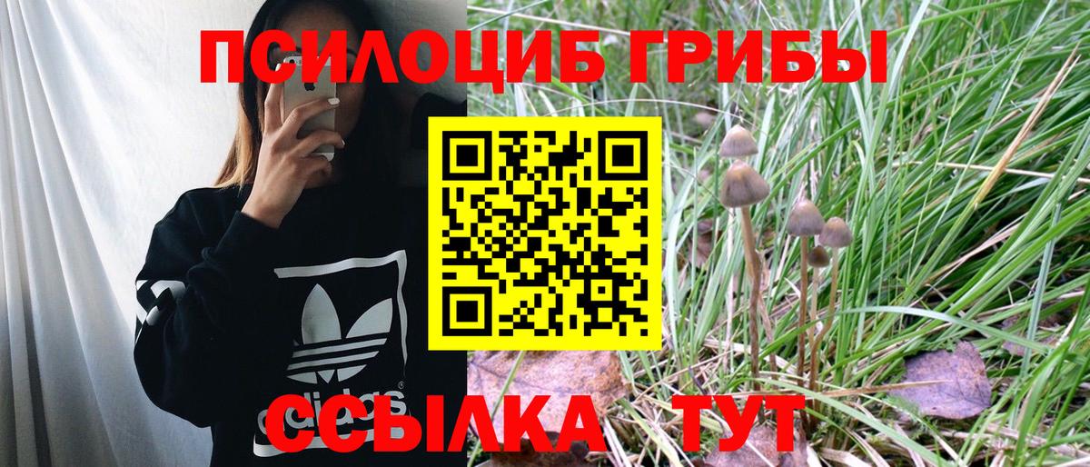 Псилоцибиновые грибы GOLDEN TEACHER Электрогорск