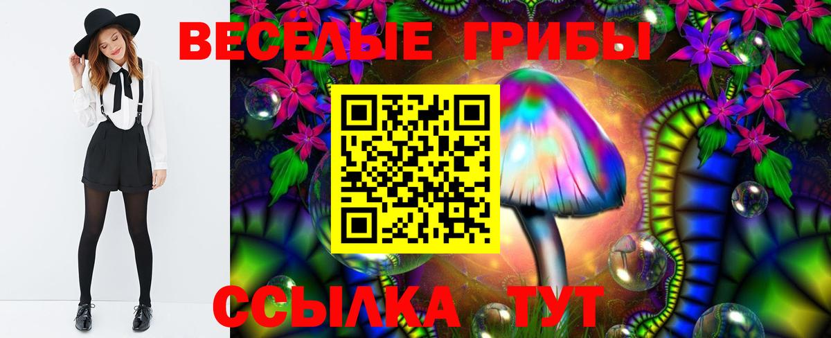 Галлюциногенные грибы мицелий Электрогорск