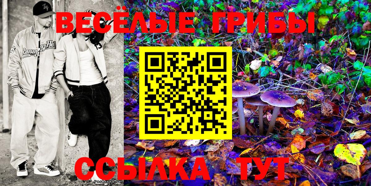Электрогорск  Галлюциногенные грибы MAGIC MUSHROOMS  Вход с VPN 