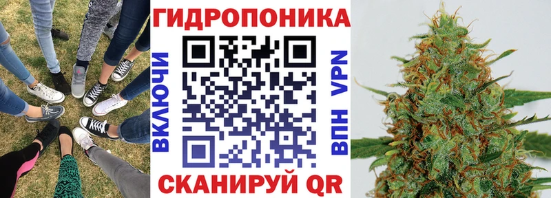 MEGA tor Электрогорск Бошки Шишки тримм дарнет шоп