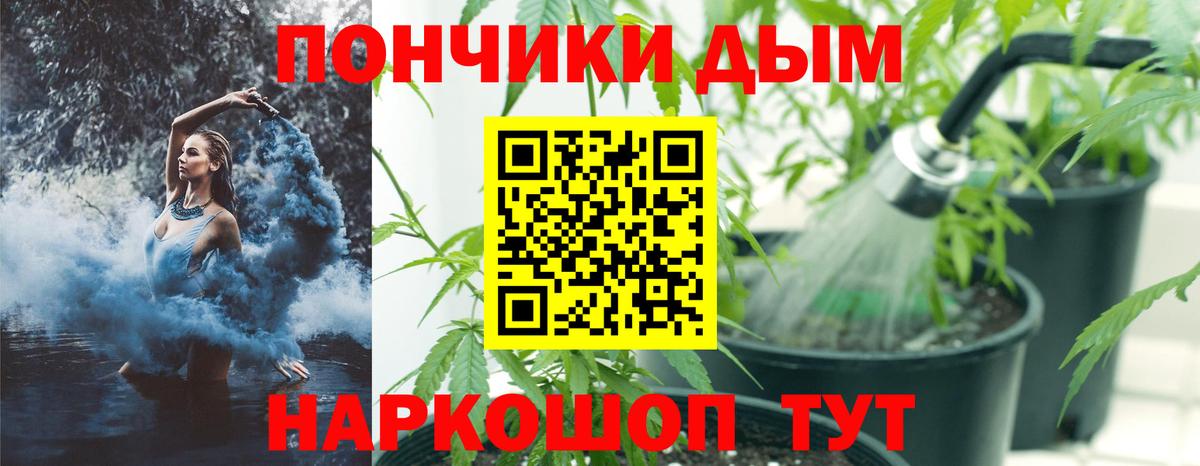 Каннабис White Widow Электрогорск