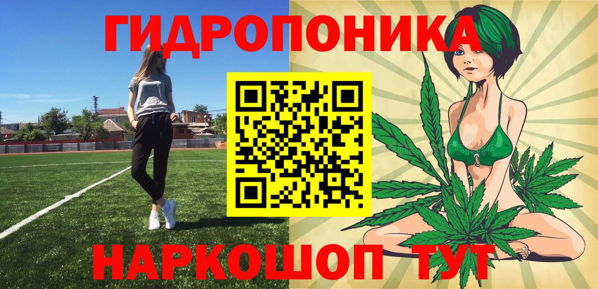 Бошки марихуана конопля  Бошки Шишки марихуана  Конопля VHQ  Электрогорск  Вход с VPN 